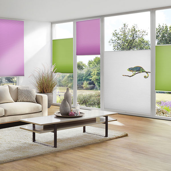 Een Duette met een afbeelding voor een avontuurlijk huis